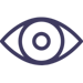 vision